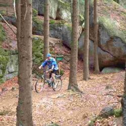 Mountain Biker kommen mit dem Waldviertler Granit Trail
ebenfalls voll auf ihre Rechnung – 150 km Bike-Wege
erstrecken sich von der tschechischen Grenze bis zur Donau.
Verkehrsarme Strassen bieten auch erstklassige Verhältnisse für Strassenrouten.
