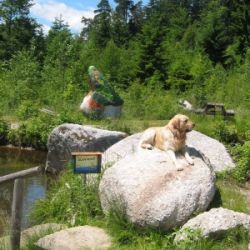 Mittlerweile erfreut sich unsere Anlage bester Beliebtheit
unter jeglichen Seehunden.